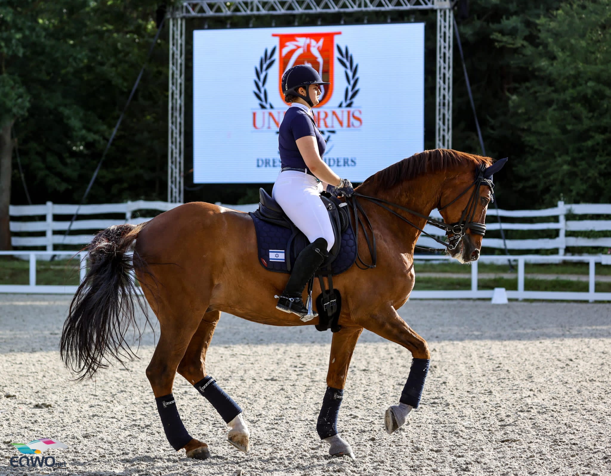 Show Groom (Dressage) Yehaww