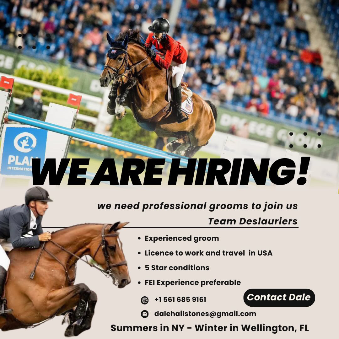 Show Groom (Showjumping) Yehaww